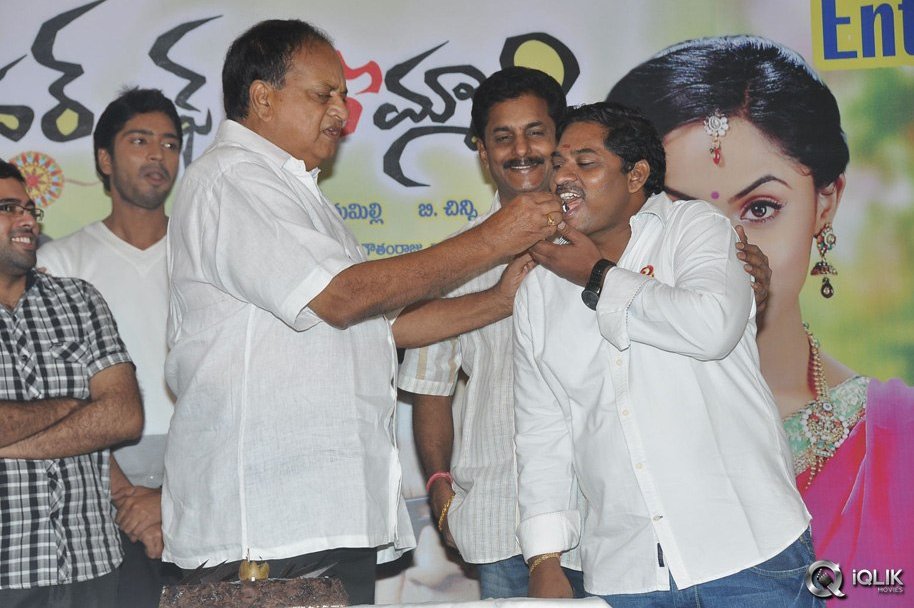 Brother-Of-Bommali-Movie-Success-Meet